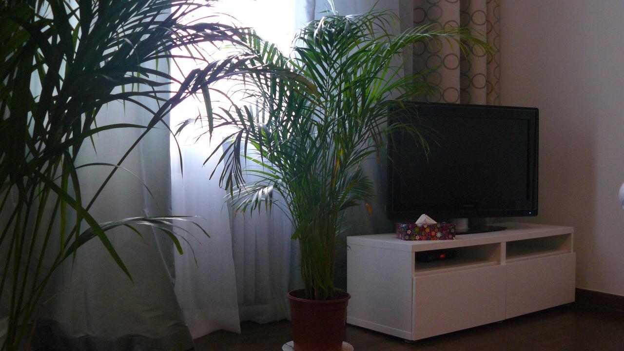 Apartament Chmielna Lejlighed Warszawa Eksteriør billede